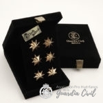 ESTUCHE CAJA   ESTRELLAS  NEGRO - Imagen 2
