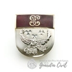 DISTINTIVO   TITULO - CURSO TEBYL-NRBQ