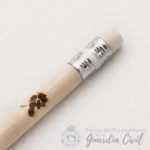 LAPIZ MADERA CON GOMA LA-01