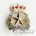 DISTINTIVO  DIPLOMADO    ESTADO MAYOR