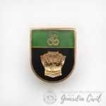 PINS ESPECIALIDAD PROTECCION PERSONAS