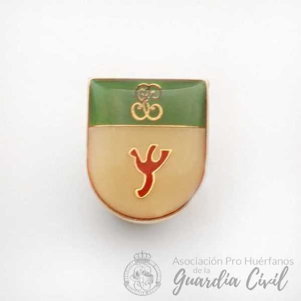 PINS ESPECIALIDAD PSICOLOGIA