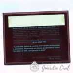 PLACA MADERA GRAB. COLOR 22x19 CM