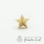 ESTRELLA DE 5  PUNTAS (ESTADO MAYOR)