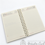 RECAMBIO 2027  PARA AGENDA COLOR BEIGE + RECAMBIO  PAGINA DIA (18 X 25) CON TRABILLA ROSA O VERDE